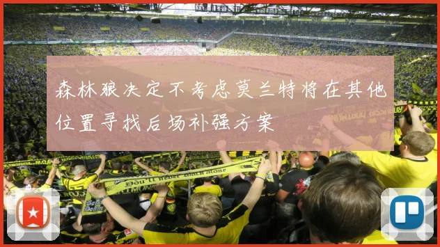 森林狼决定不考虑莫兰特将在其他位置寻找后场补强方案
